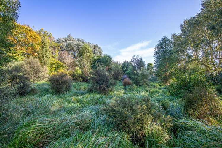 109 Marshalls Road Springston_46