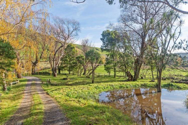 1327 Hinakura Road Hinakura_15