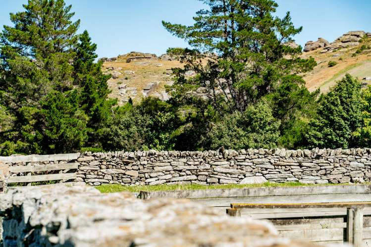 860 Gladbrook Road Middlemarch_30