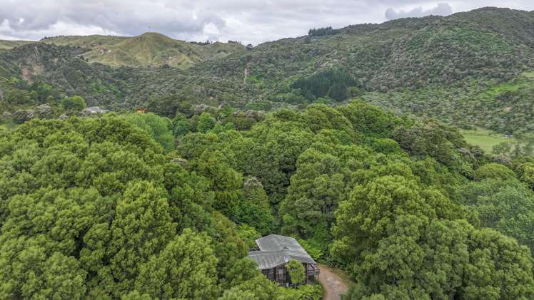 654 Kauaeranga Valley Road Thames_19