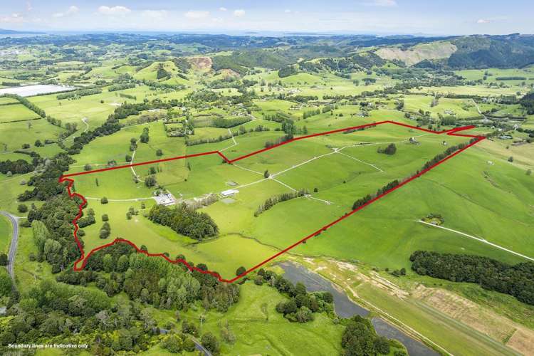 473 Kaipara Flats Road_0