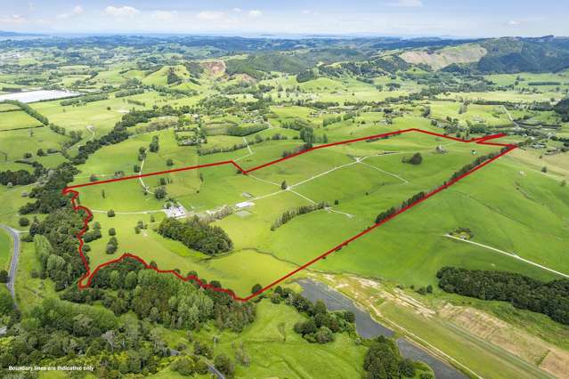 97.7Ha Dairy Farm + Two Homes (7 Freehold Titles)
