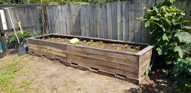 16 Banks Street Waihi_18