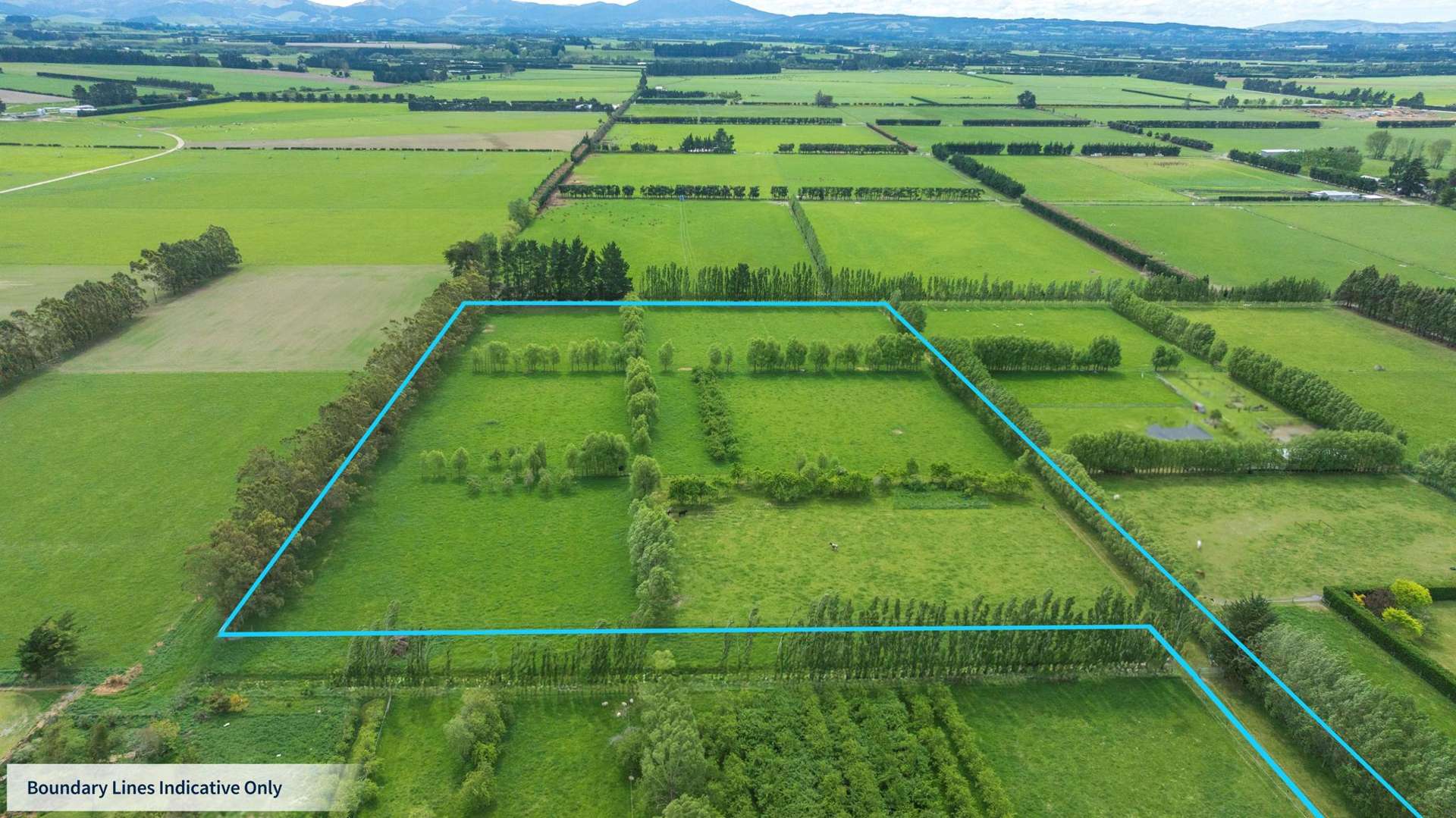 420A Woodfields Road Swannanoa_0