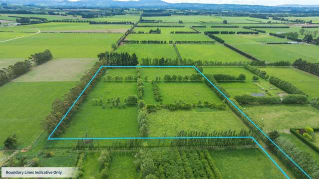 Your New Year New Chapter Lifestyle