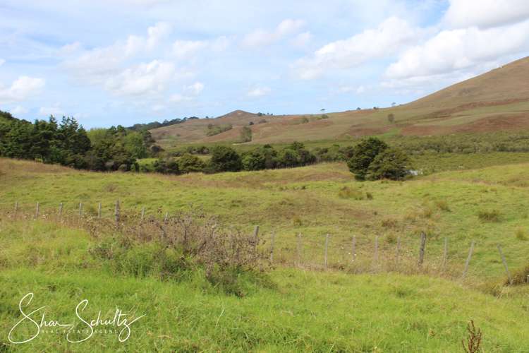 215c Heatley Road Whakapirau_14