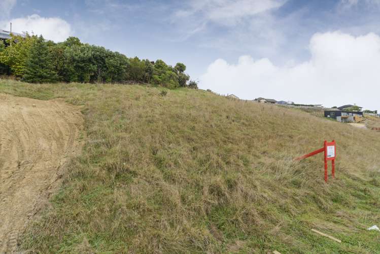 113 Cashmere Drive Fitzherbert_0