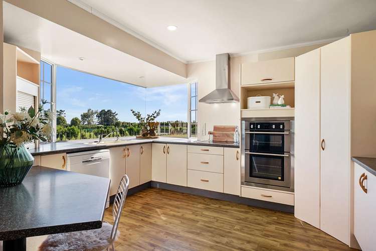 387 Smart Road Hillsborough_7