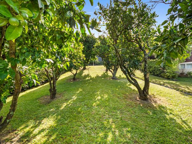 4 Herbert Street Te Aroha_22