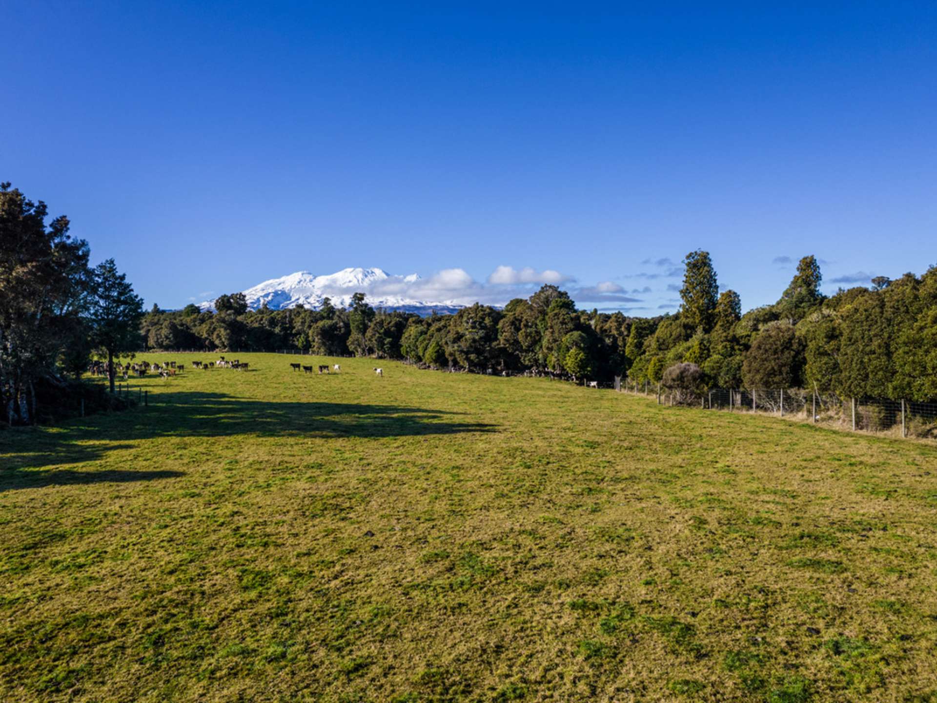 Matapuna Road, Ruapehu Alpine Estate Ohakune_0