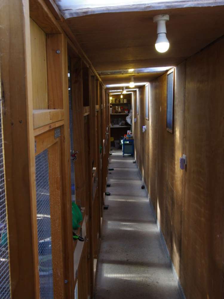 46 Oaklea Lane Tamahere_7