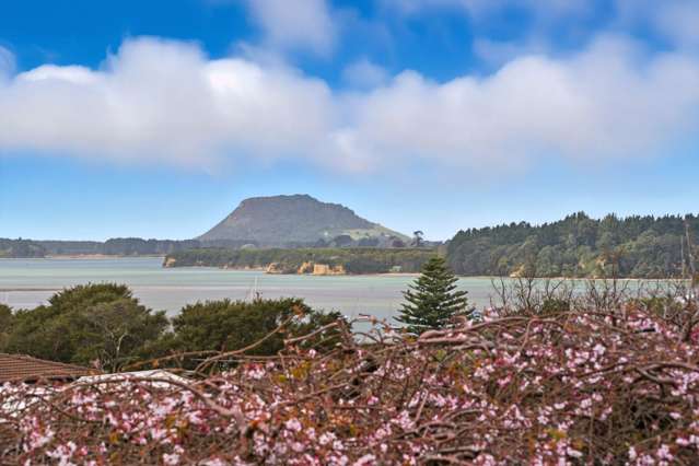 4 Owen Place Omokoroa_2