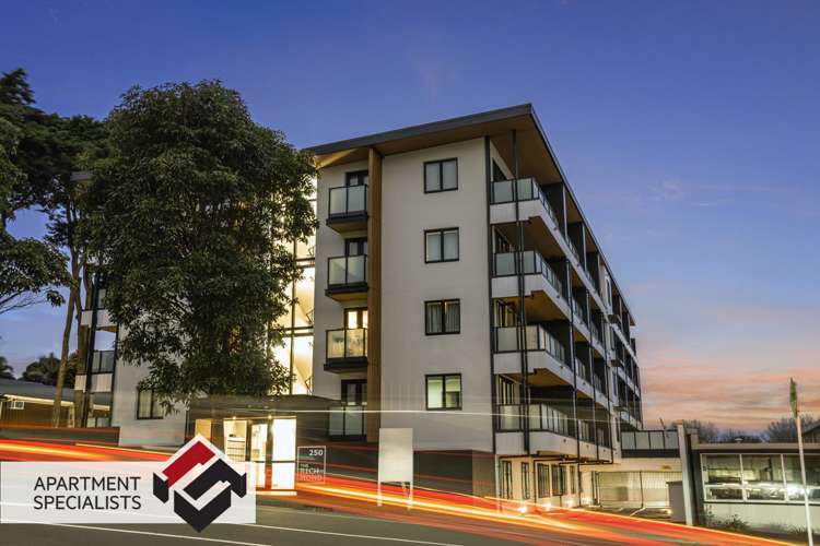 250 Richmond Grey Lynn_17