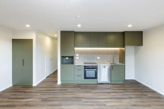 1/50 Peverel St Riccarton_2