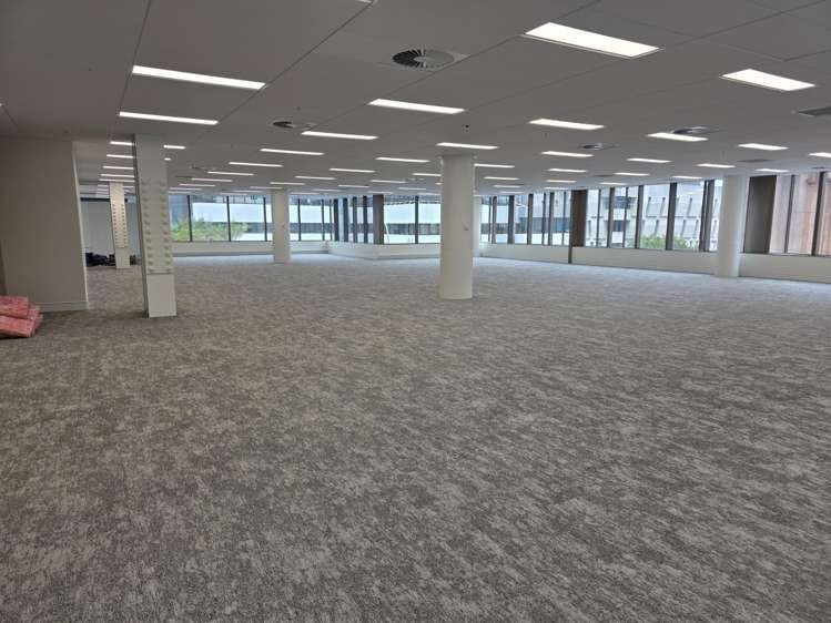 55 Molesworth Street Thorndon_10