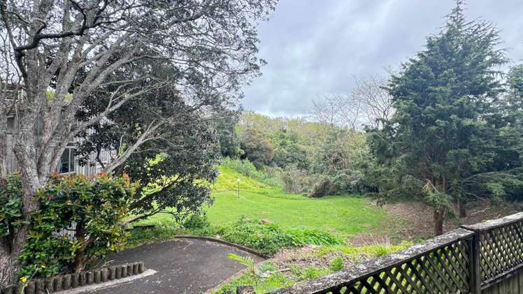 1/7 Claybrook Road Parnell_9