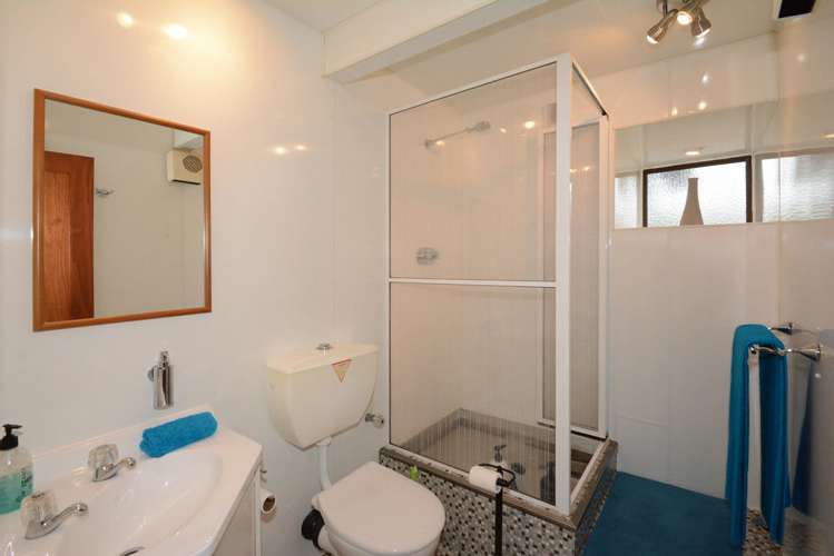 153 Larnach Road Waverley_18