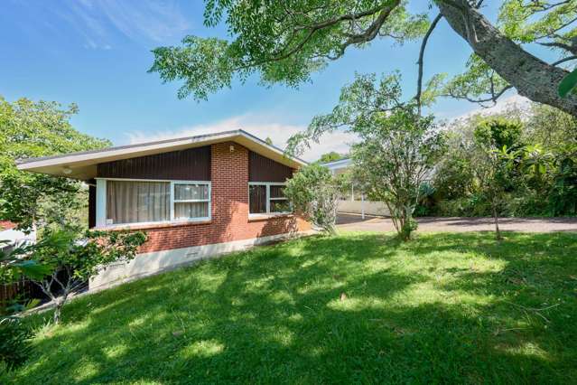 8 Tropicana Drive Mt Roskill_2