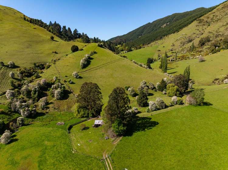 2323 Motueka Valley Highway Ngatimoti_39