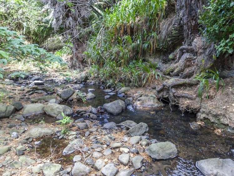 103 Hill Street Thames_19