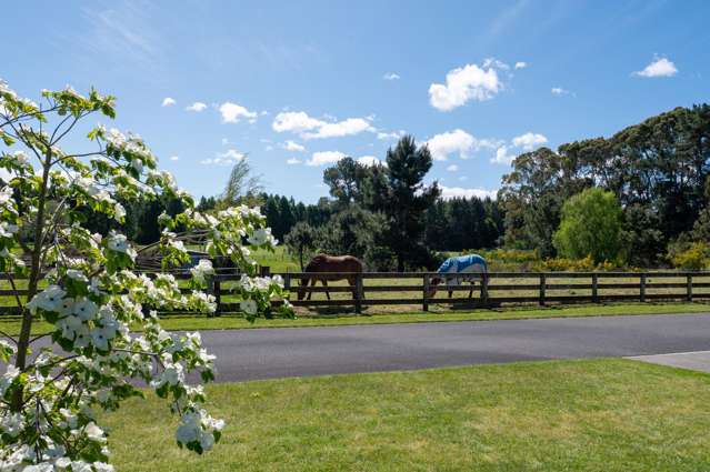 120 Kinloch Road Kinloch_3