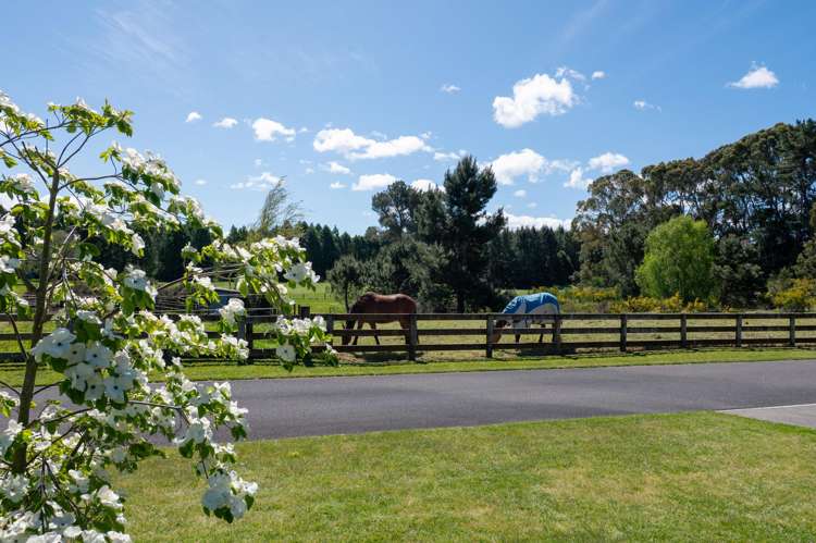 120 Kinloch Road Kinloch_3