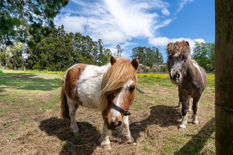 1021 Old North Road Waimauku_22