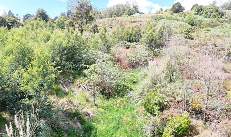 272 Waikuku Road Waimate North_9