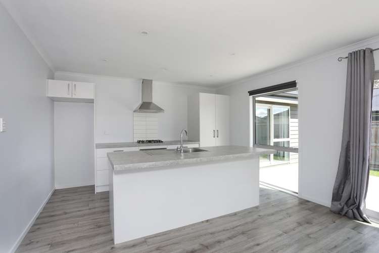 43 Wilson Street Bulls_7