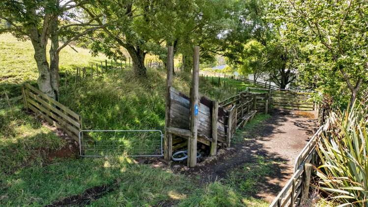 162 Standish Road Toko_24