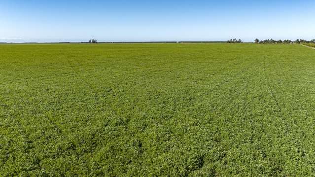 784 Wrights Road Oxford_4