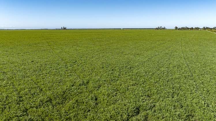 784 Wrights Road Oxford_4