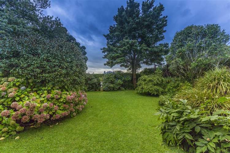 118 Marsden Avenue Mount Eden_2