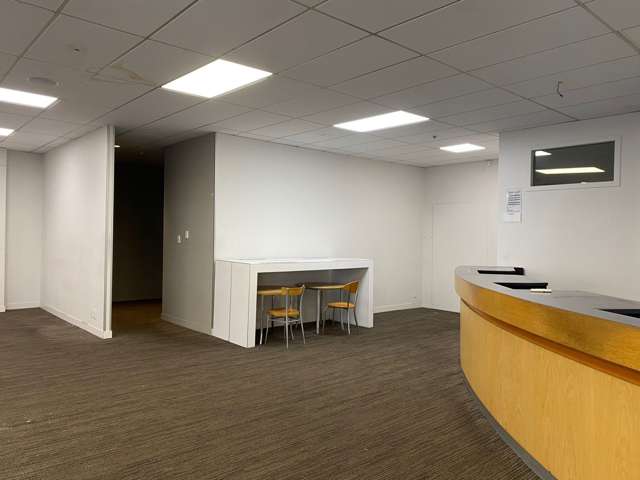 227 Riddiford Street Newtown_1