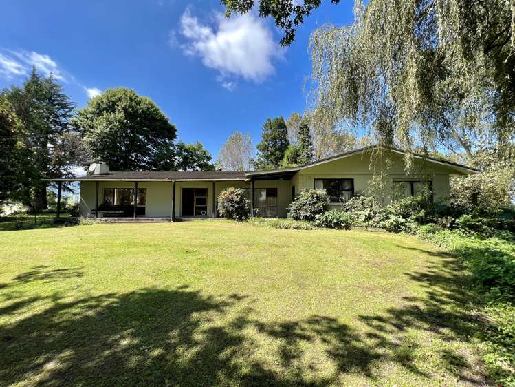 3931 Galatea Road Murupara Surrounds_9