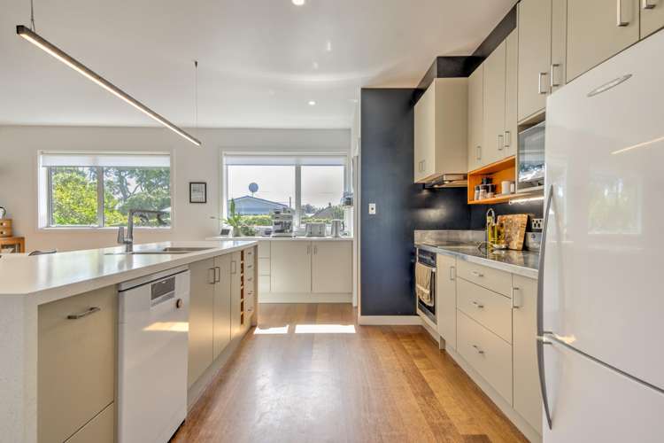 19 Nixon Street Hamilton East_5