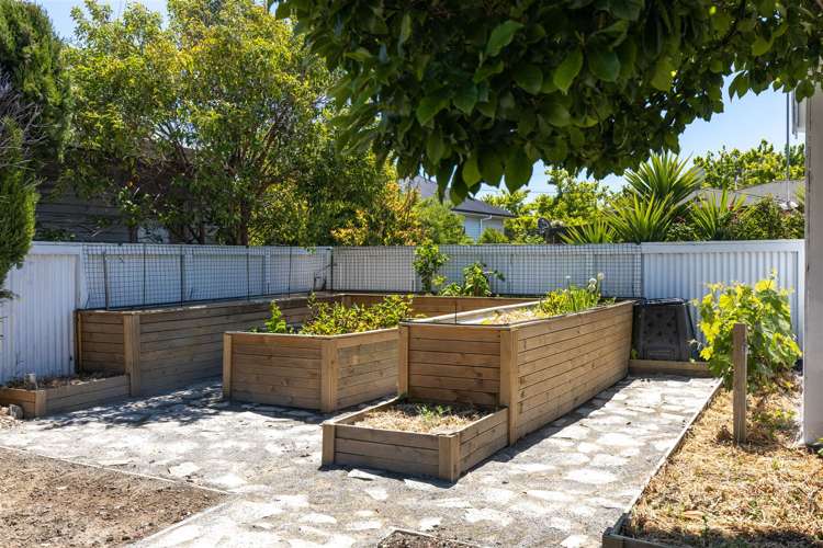 125 Alabama Road Redwoodtown_19