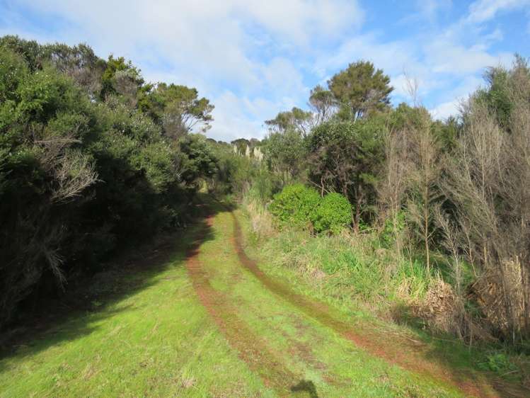 Pataua North Road Whareora_10