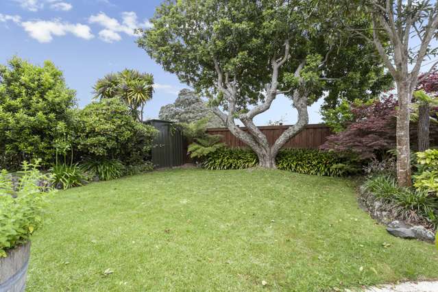 84 Astley Avenue New Lynn_2