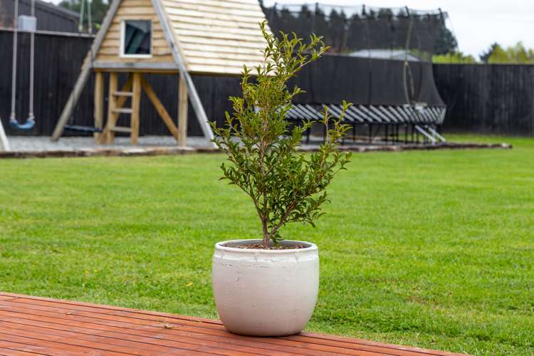 70 Kingsdowne Drive West Melton_32