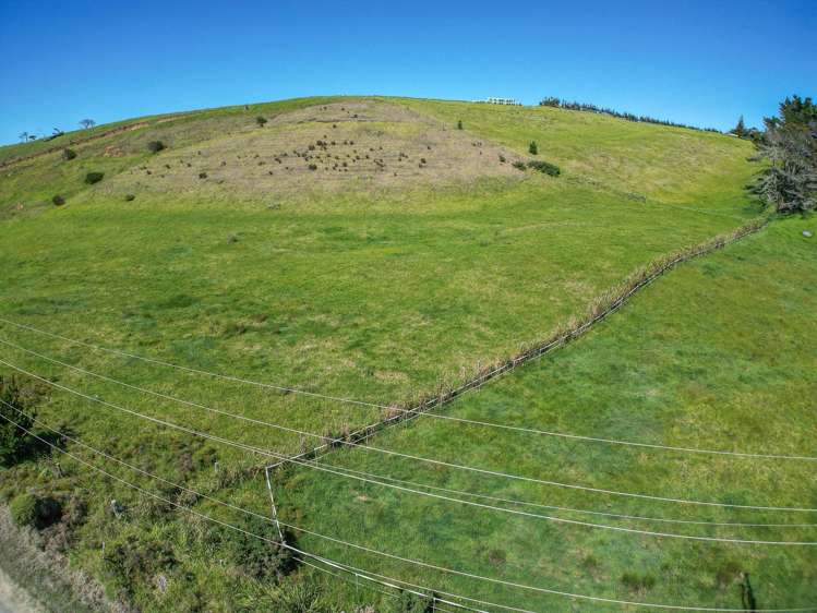 42 Redhill Cemetery Road Te Kopuru_8