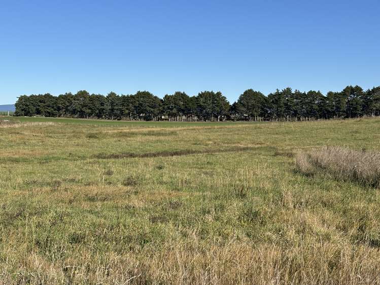 150 Rocklands Road Totara_15