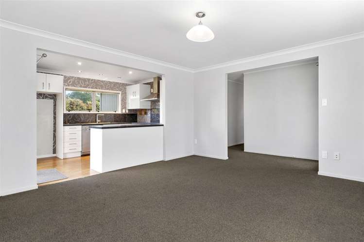 539 Devonport Road Tauranga South_1