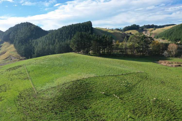 223 and 224 Peacock Road Waipukurau_14