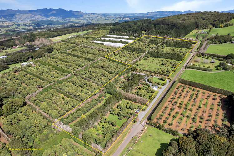 77 Te Kowhai Drive Maungatapere_44