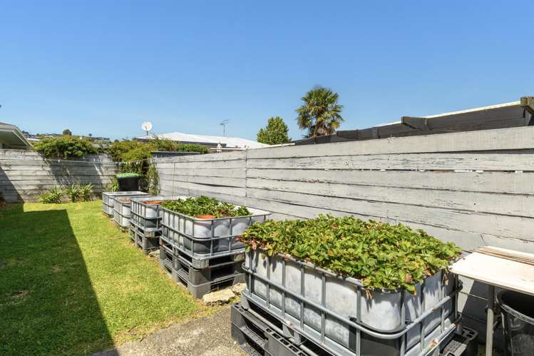 406A Ngatai Road Bellevue_13