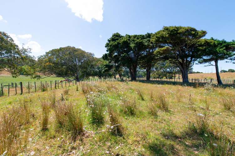 603 Te Akau South Road Te Akau_13