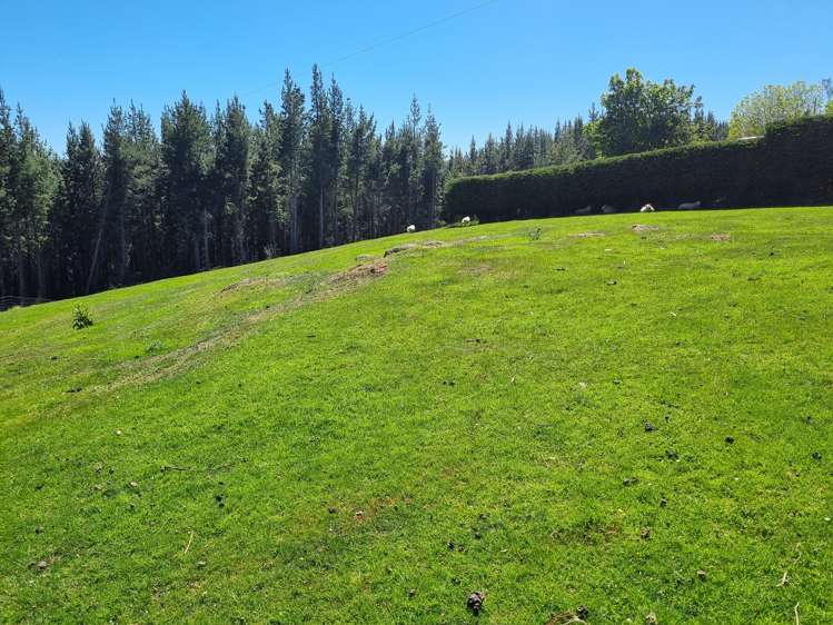 531 Coal Gully Road Milton_22