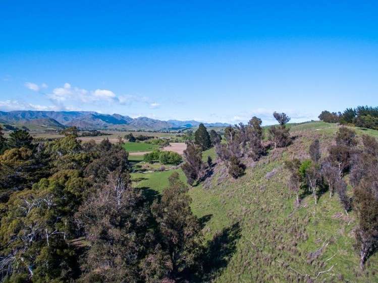 264 Hawkesbury Road Hawkesbury_8