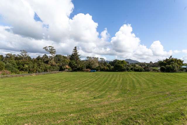 18 Princes Street Waikino_3